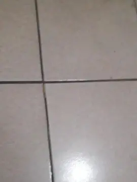 Cam4 Best Webcam of ramiroirusta21