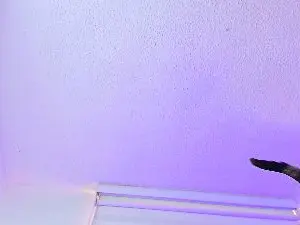 Cam4 Adult Webcam of RosseAmy