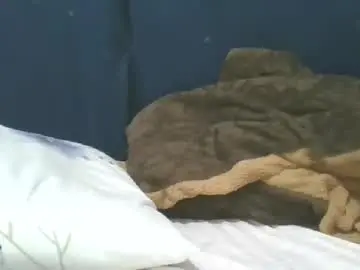 Chaturbate Best live sex cam show of cilia_petite