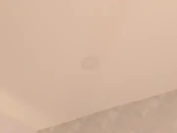Chaturbate Free Porn Cam of valdy_ford