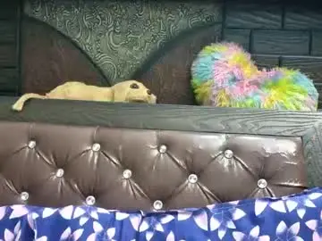 Chaturbate Adult Webcams of dollmeenu