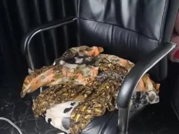 Chaturbate Adult Video Chat of sexy_slimebony