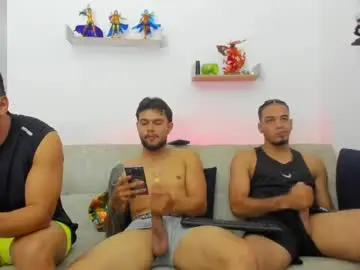 Chaturbate Nude Webcam of straight__friends