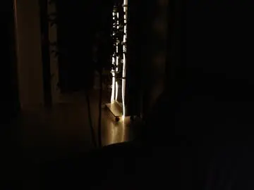 Chaturbate Free Porn Cam of alfie_evanss