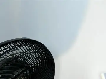 Chaturbate Adult Webcam of tessamonroee