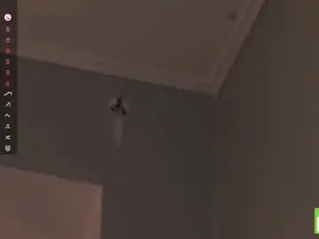 Chaturbate Free Porn Cam of zara_shine