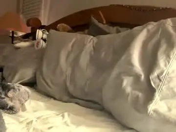 Chaturbate Adult Webcam of hottiewithabody101