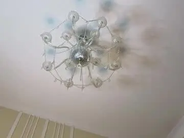 Chaturbate Adult Webcam of viksons