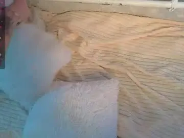 Chaturbate Adult Video Chat of mirida_fox