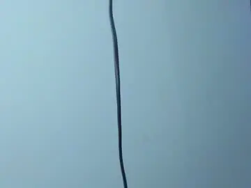 Chaturbate Live Porn of lotto_bloom