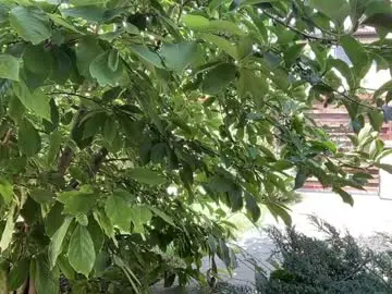 Chaturbate Sex Cam of patry333