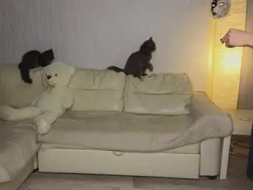 Chaturbate Sex Chat of pupsenish