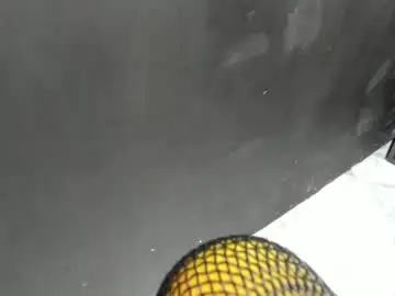 Chaturbate Sex Chat of sophia_models