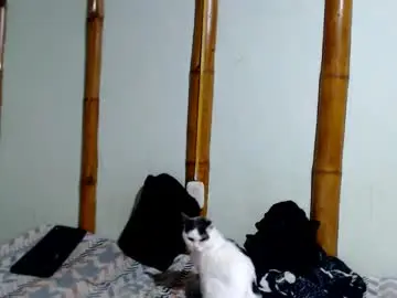 Chaturbate Live Porn of miahells