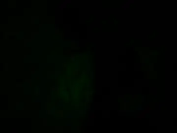 Chaturbate Free Live Porn of jorettie