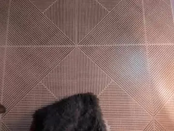 Chaturbate Adult Webcams of andyjoy_