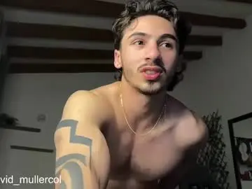 Chaturbate Free Live Porn of david_muller_