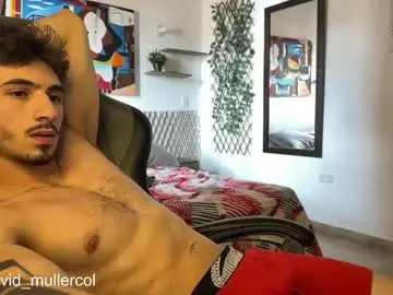 Chaturbate Live Sex of david_muller_