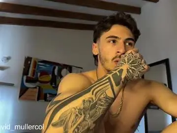 Chaturbate Free Live Porn of david_muller_