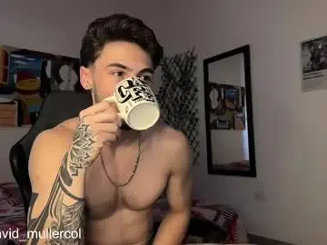 Chaturbate Free Porn Cam of david_muller_