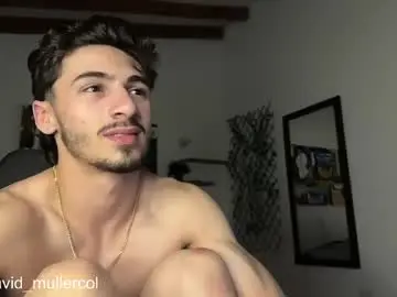 Chaturbate Nude Webcam of david_muller_