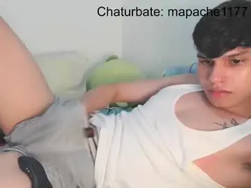 Chaturbate Private Sex Chat of mapache1177