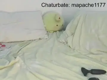 Chaturbate Live Sex Cam of mapache1177
