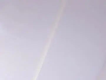 Chaturbate Sex Cam of im_beliinda