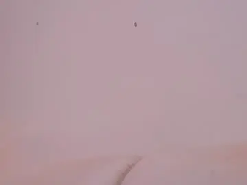 Chaturbate Best live sex cam show of pafosstar