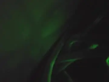 Chaturbate Live Sex Cam of evixed