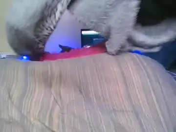 Chaturbate Nude Webcam of curry_nikita