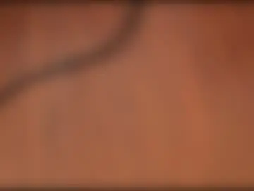 Chaturbate Best Webcam of leonvampire