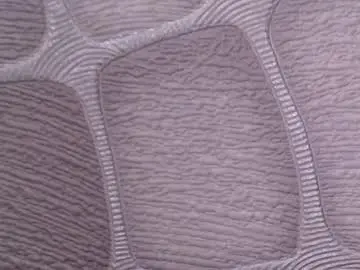 Chaturbate Live Sex Cam of zilya