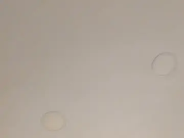 Chaturbate Sex Chat of _maia_cute