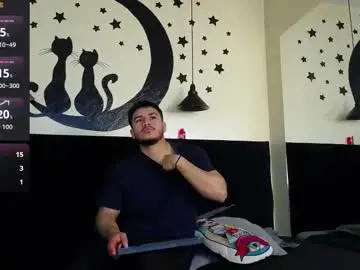 Chaturbate Private Sex Chat of ariies13