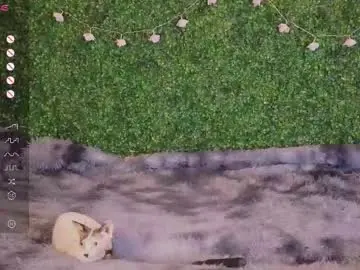 Chaturbate Live Sex Cam of katerinnna