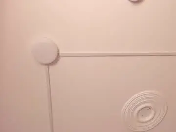 Chaturbate Best Webcam of carolinaa_suarez