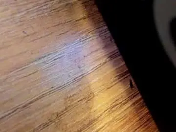 Chaturbate Nude Webcam of morthy_downey