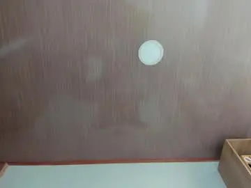 Chaturbate Live Sex Cam of alansex66