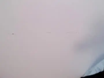 Chaturbate Adult Webcam of naya_yalitza