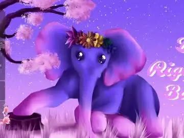 Chaturbate Adult Video Chat of mollymurrrr