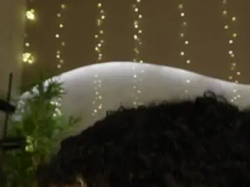 Chaturbate Free Porn Cam of willow_hendrix