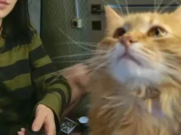 Chaturbate Sex Chat of bonnie_and_c1yde