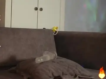 Chaturbate Live Porn of _taylor_swift