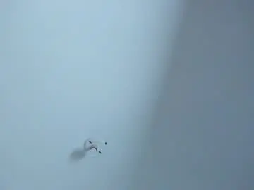 Chaturbate Sex Cam of ellope