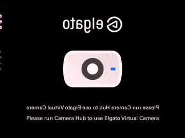 Chaturbate Best Webcam of rodde_schlocer