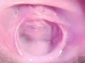 Chaturbate Live Porn of orchidekitty