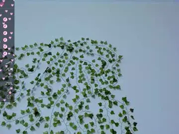 Chaturbate Adult Webcams of bravo_maestro