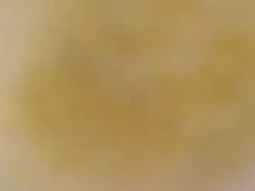 Chaturbate Free Porn Cam of melinnalow