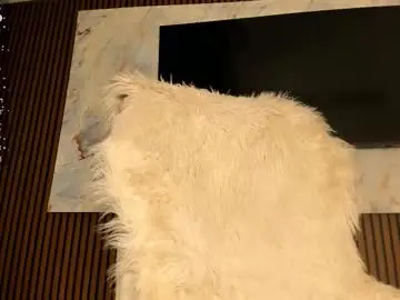 Chaturbate Private Sex Chat of blackmilk_01